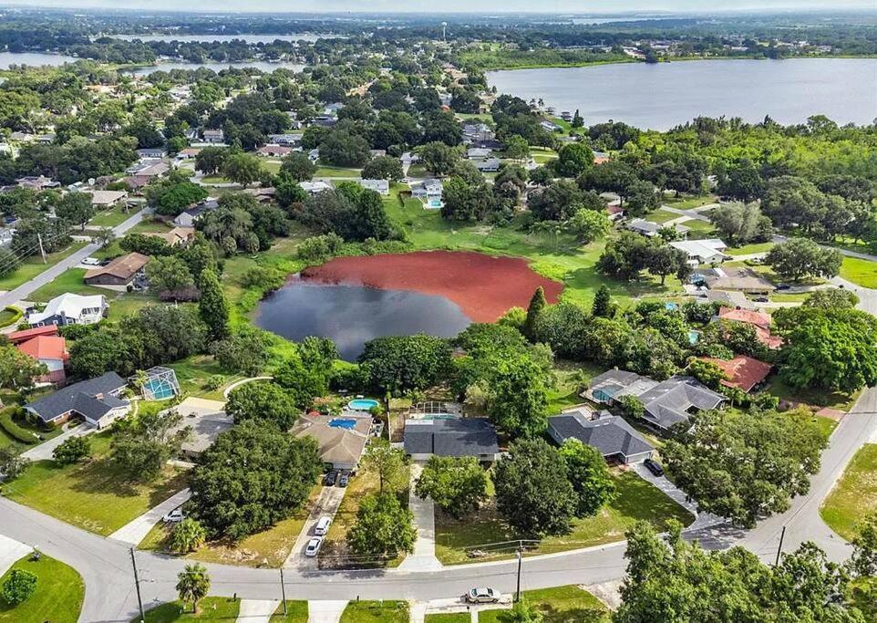 Cozy Lakefront Home W/ Pool -7 Mins From Legoland Winter Haven Ngoại thất bức ảnh
